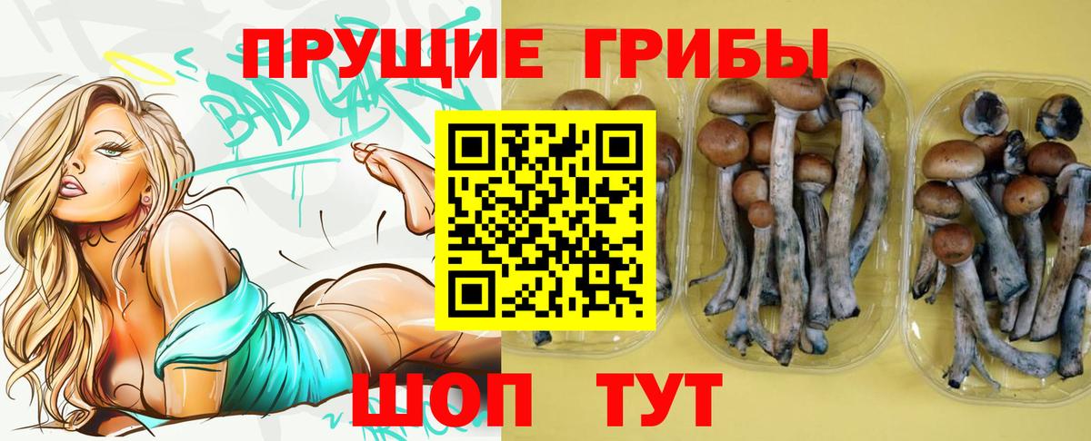 Галлюциногенные грибы ЛСД Абакан